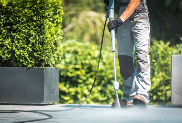 Best Patio and Deck Pressure Washing  in Inverness, IL