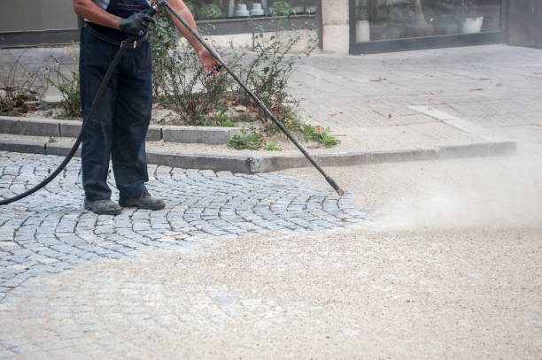 Best Driveway Pressure Washing  in Inverness, IL
